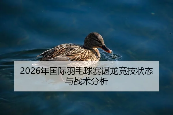 2026年国际羽毛球赛谌龙竞技状态与战术分析