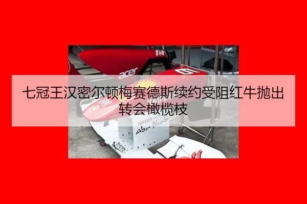 qi-guan-wang-han-mi-er-dun-mei-sai-de-si-xu-yue-shou-zu-hong-niu-pao-chu-zhuan-hui-gan-lan-zhi-3-916.jpg