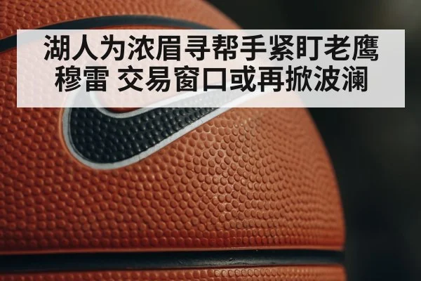 湖人为浓眉寻帮手紧盯老鹰穆雷 交易窗口或再掀波澜