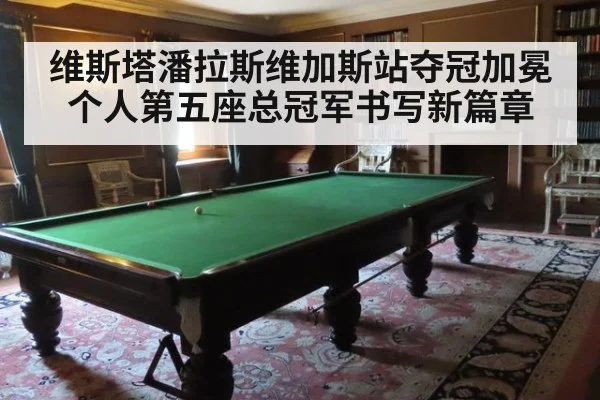 维斯塔潘拉斯维加斯站夺冠加冕个人第五座总冠军书写新篇章